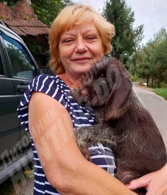 Новые владельцы